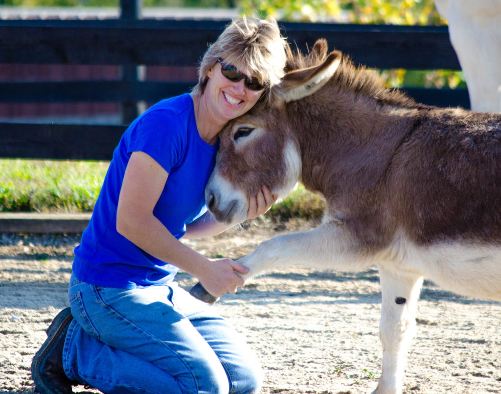 Little Longears Miniature Donkey Rescue